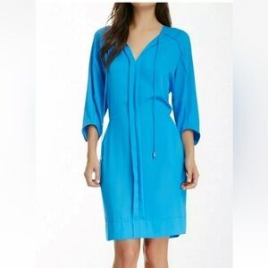 Diane Von Furstenberg Apona 3/4 Sleeve Blue Dress (Size 6)